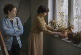 Соседка выставляет на окно в подъезде свои полудохлые растения в горшках. От них только уныние и тоска