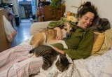 Однушка, собака, два кота и никакого личного пространства. Я не жалею