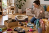 Я купила кошке двенадцать игрушек, ортопедическую лежанку и корм за две тысячи, а она выбрал коробку из-под обуви