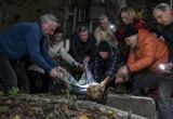 Как спасли собаку всем двором