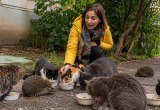 Кормила бездомных котов &mdash; к ним присоединился ёж и привёл подругу