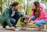 Общая забота о животном сблизила двух незнакомцев