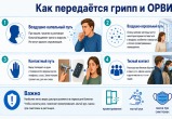 Как передаётся грипп и ОРВИ