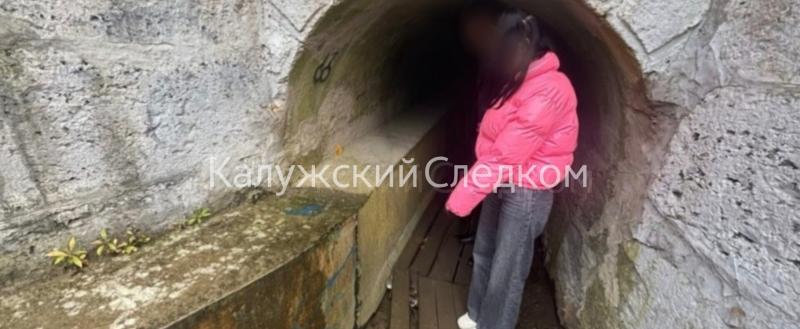 СУ СК России по Калужской области