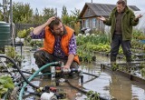 Зять перемудрил с системой полива, и теперь в огороде вечно стоит вода. Прямо рисовые поля, а не грядки