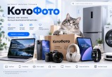 КотоФото: как питерский стартап с кошачьей душой превратился в онлайн-гипермаркет техники