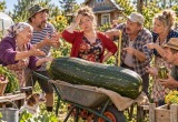 Вырастила сорокакилограммовый кабачок и получила полсотни дурацких советов