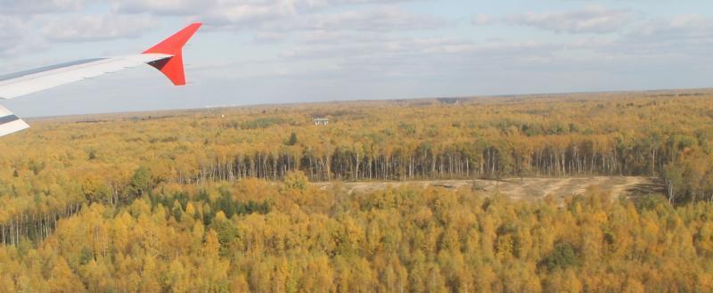 kaluga-poisk.ru