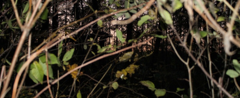 kaluga-poisk.ru