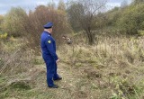 прокуратуры Калужской области