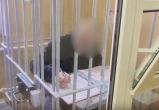 СУ СК России по Калужской области