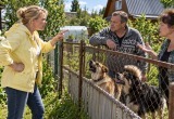 Пришлось припугнуть соседей, чтобы их собаки не лезли на мой участок