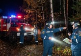 Калуга-поиск, сгенерировано ИИ