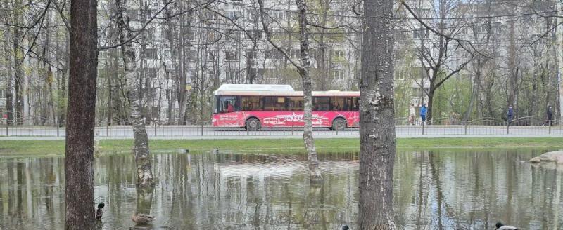Фото: Kaluga-poisk.ru