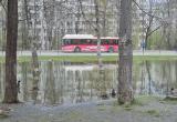 Фото: Kaluga-poisk.ru