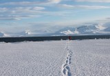 Фотоотчет об экспедиции на Северный полюс калужской делегации