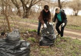 Около восьми тысяч калужан приняли участие в городских субботниках