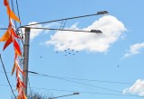 "Витязи" и "Стрижи" репетируют Парад Победы в небе над Калугой. Фотографии.
