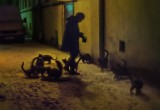Светлана Тарасова "За фасадами" 