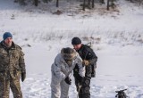 В Угре поисковики нашли обломки советского бомбардировщика?