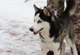 Калужане помогли собрать деньги на лечение больного ребенка