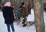 В Губернском парке Калуги прошел исторический праздник