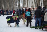 В Губернском парке Калуги прошел исторический праздник