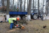 Городские службы очистили и отмыли парк Циолковского. Фотоотчет