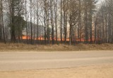 Крупный природный пожар чуть не спалил деревню в Калуге