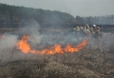 Крупный природный пожар чуть не спалил деревню в Калуге