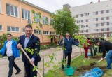 В Калужской области посадили 15 тысяч саженцев