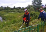 Добровольцы очистили от мусора берега сотни калужских водоемов 