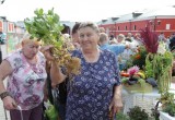 Достижения местных аграриев впечатлили гостей праздника «Калуга урожайная». Фотоотчет