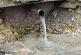 Есть ли в Калуге родники с чистой и безопасной водой?