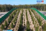 В Калужской области открыли первый в России экодук