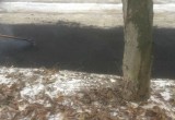 Калужские дорожники укладывают асфальт в лужи. Фото