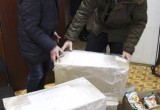  В Калуге собрали новогодние подарки для украинских детей-сирот 