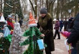 Калужские фантазеры устроили конкурс альтернативных елок. Фото