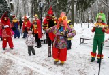 В калужском парке прошел финал конкурса «Символ года 2017». Фотоотчет