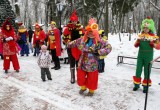 В калужском парке прошел финал конкурса «Символ года 2017». Фотоотчет