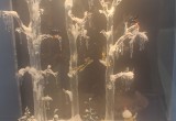 В Калуге впервые открылся музей стекла! Фото