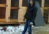 Нижегородский предприниматель подарил калужскому приюту вольеры для собак