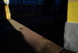 В Калуге пройдет выставка лауреатов международного фотоконкурса &laquo;Надежда-2017&raquo;