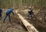 Калужские школьники приводят в порядок захоронения советских воинов