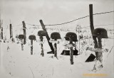 "Я плакал от голода..." Откровения об оккупации Калуги в 1941 году и фото