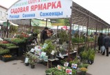 Градоначальник рассказал, как будет развиваться новый рынок "Калуга"