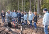 В Калужской области прошла акция "Лесу - да! Свалкам - нет!"