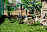 Новый зоопарк в Калуге ждет своих посетителей