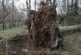 Ураган разрушил балконы обнинской новостройки (фото, видео)