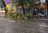 Непогода принесла разрушения в Калугу